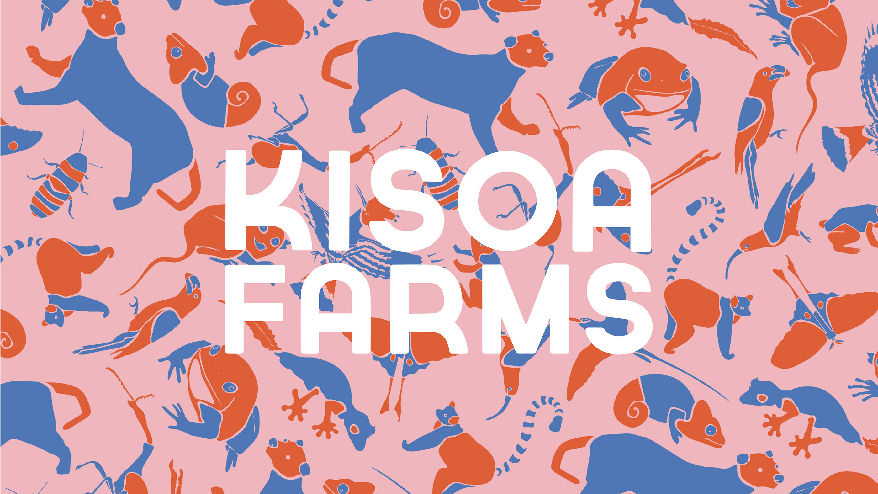 kisoa farms_1